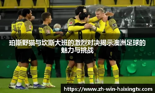 珀斯野猫与坎斯大班的激烈对决揭示澳洲足球的魅力与挑战